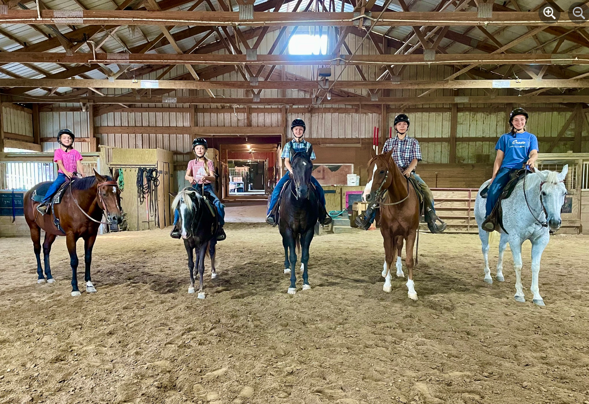 About — Oak Top Hill Horse Farm